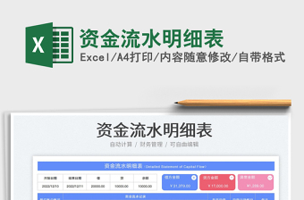 2025资金流水明细表免费下载