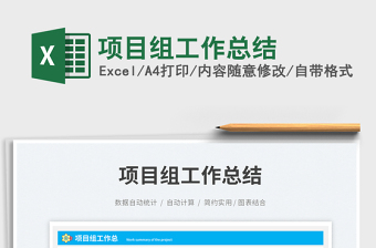 2025项目组工作总结免费下载