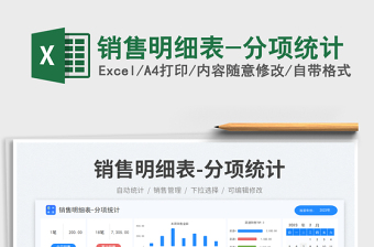 2025销售明细表-分项统计免费下载