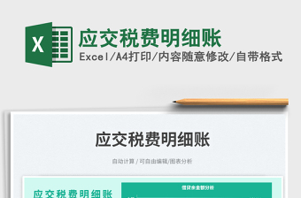 2025应交税费明细账免费下载