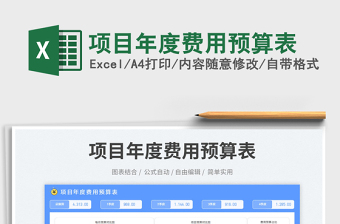 2025项目年度费用预算表免费下载