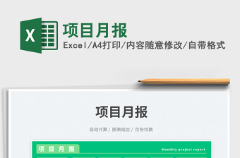 2025项目月报免费下载