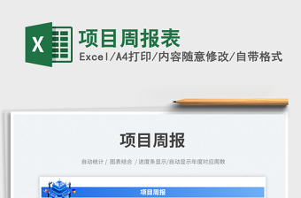 2025项目周报表免费下载