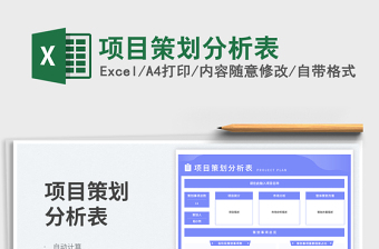 2025项目策划分析表免费下载