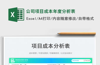 公司项目成本年度分析表免费下载