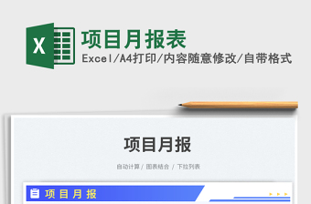 2025项目月报表免费下载