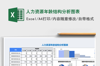 人力资源年龄结构分析图表