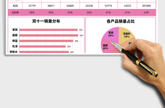 双十一活动销售利润表