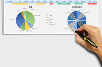 全年消费统计动态图表