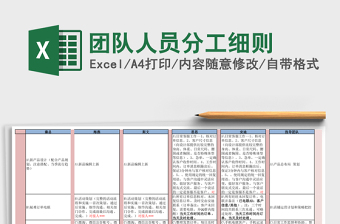 团队人员分工细则