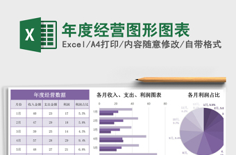 年度经营图形图表