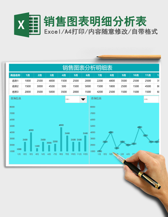 销售图表明细分析表
