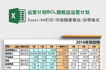 运营计划BCL旗舰店运营计划