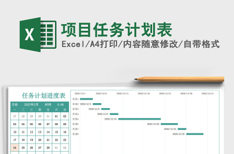 项目任务计划表