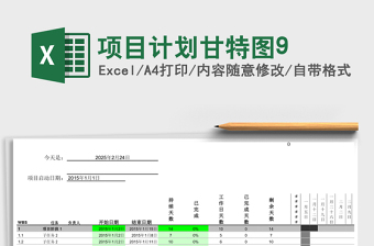 项目计划甘特图9