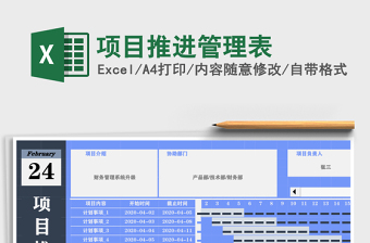 项目推进管理表