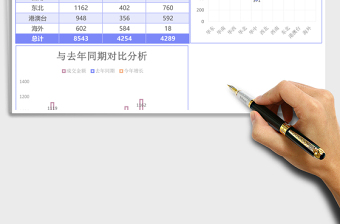2025商务简约销售地域成交金额分析excel模板