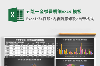 五险一金缴费明细excel模板