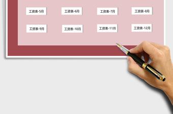 2025年工资系统-可查询