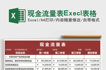 2025现金流量表Execl表格