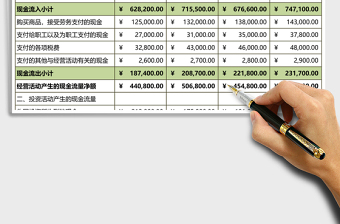 2025现金流量表Execl表格