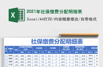 2025年社保缴费分配明细表
