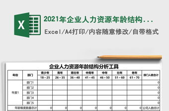 2025年企业人力资源年龄结构分析工具