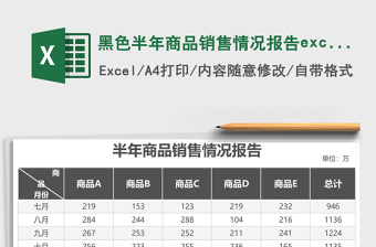 2025黑色半年商品销售情况报告excel模板