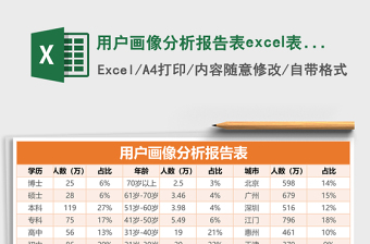 用户画像分析报告表excel模板