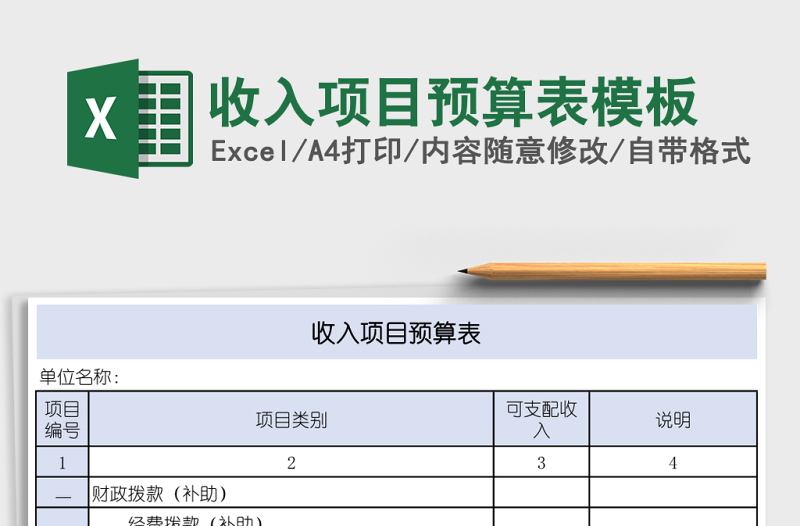 2025收入项目预算表模板