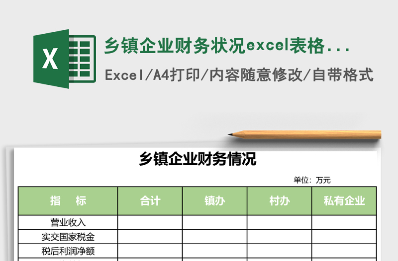 2025乡镇企业财务状况excel表格模板