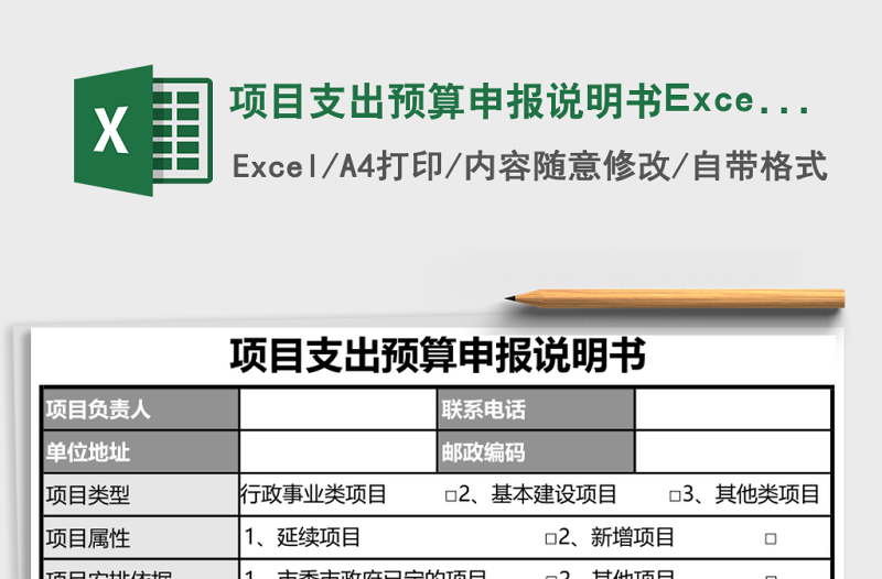 2025项目支出预算申报说明书Excel模板