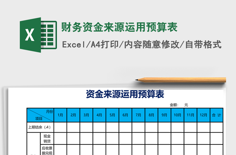 2025财务资金来源运用预算表