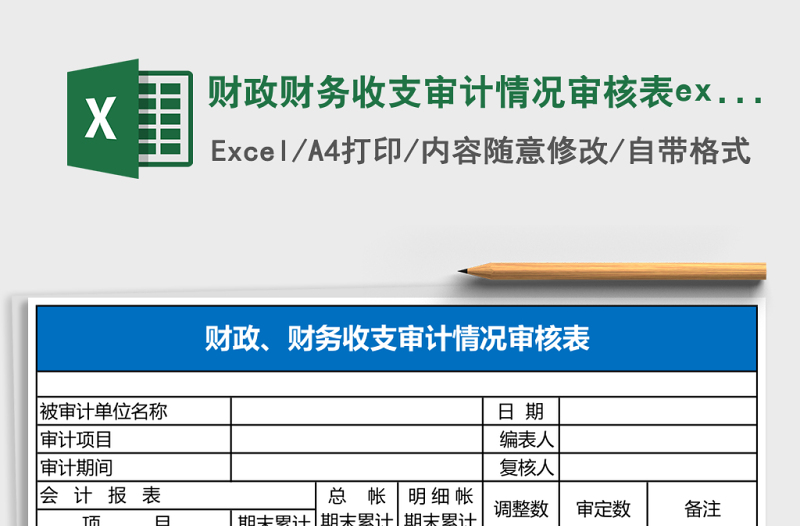 财政财务收支审计情况审核表excel模板