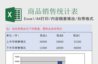 2025公司商品销售统计表