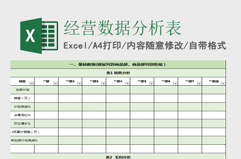 2025月经营数据分析excel表格