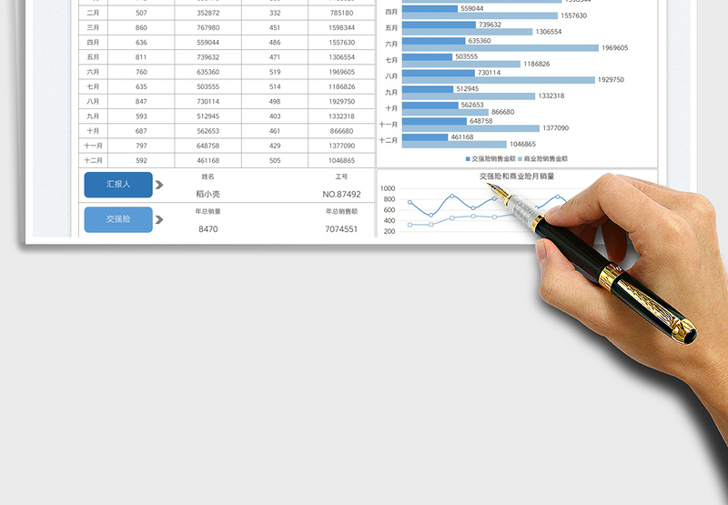 2025车险销售分析图表免费下载
