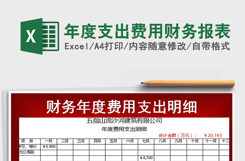 年度支出费用财务报表