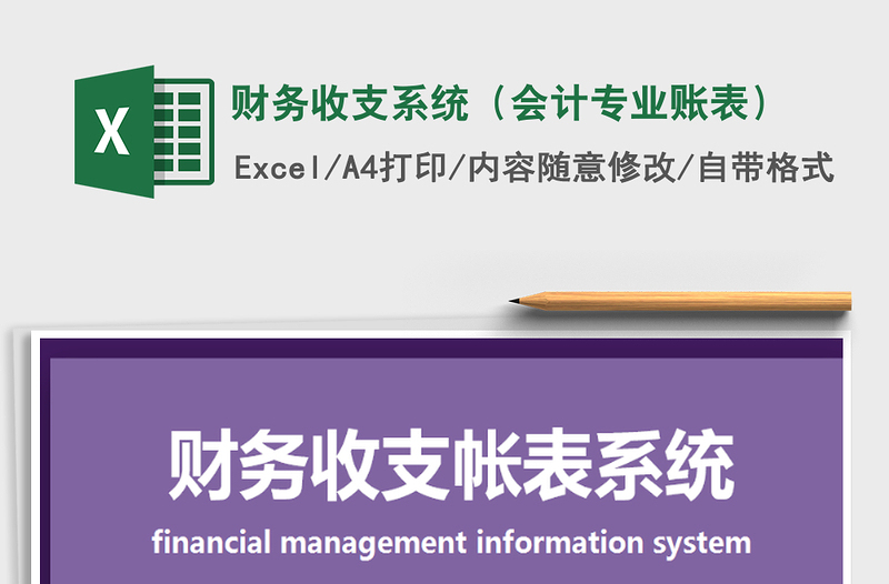 2025年财务收支系统（会计专业账表）