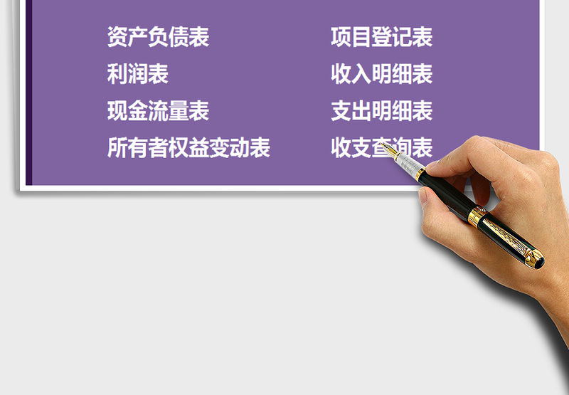 2025年财务收支系统（会计专业账表）