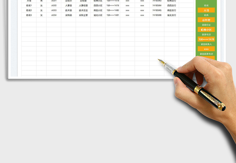 2025人力资源档案管理表—查询表