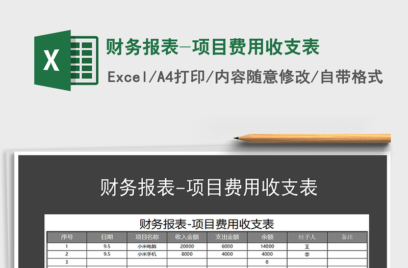 2025年财务报表-项目费用收支表