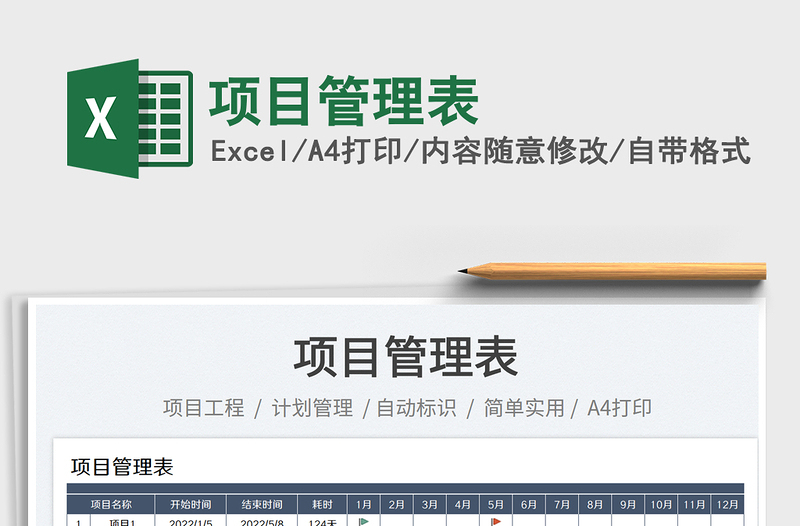 2025项目管理表免费下载