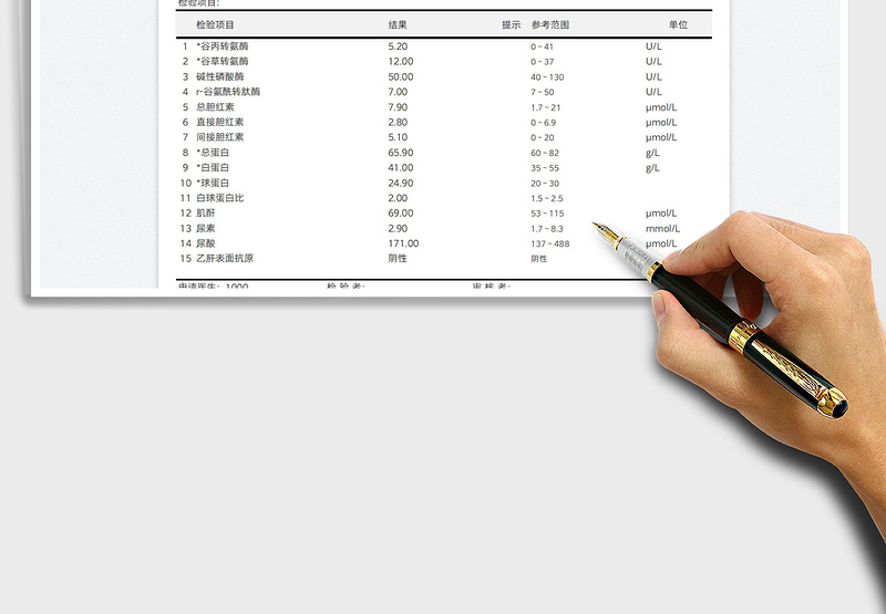 2024肝功肾功化验单模板excel表格