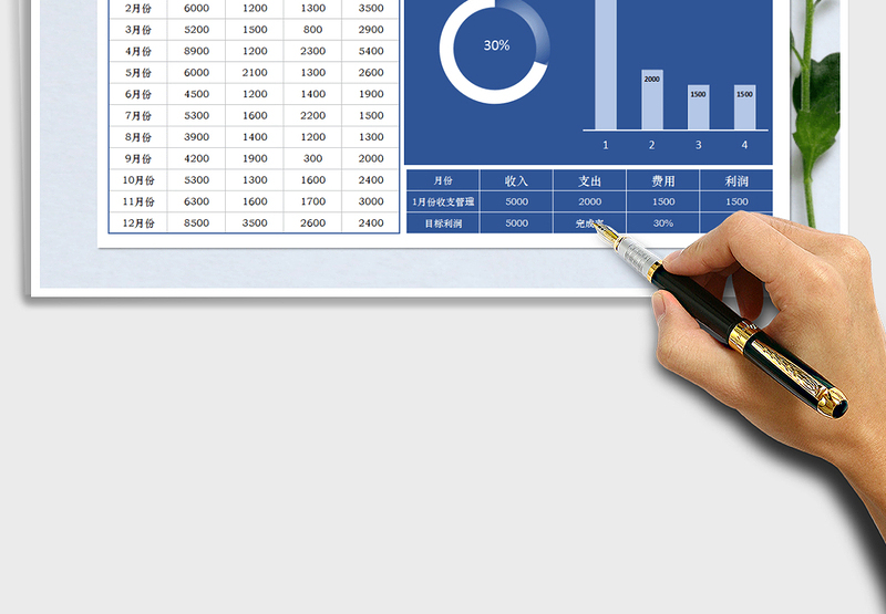 2025年收支利润管理表（动态图表）