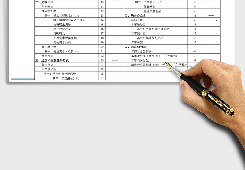 2024年所有者权益(或股东权益)增减变动