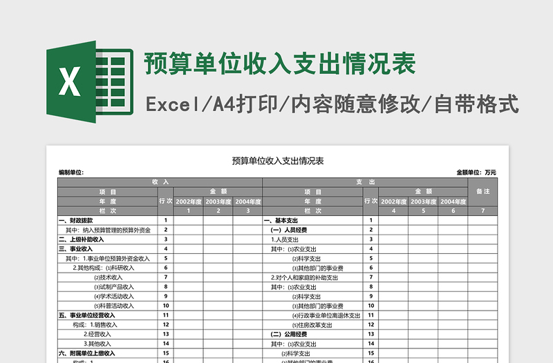 2025预算单位收入支出情况表Excel模板