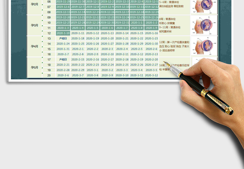 2021年怀孕日历表免费下载