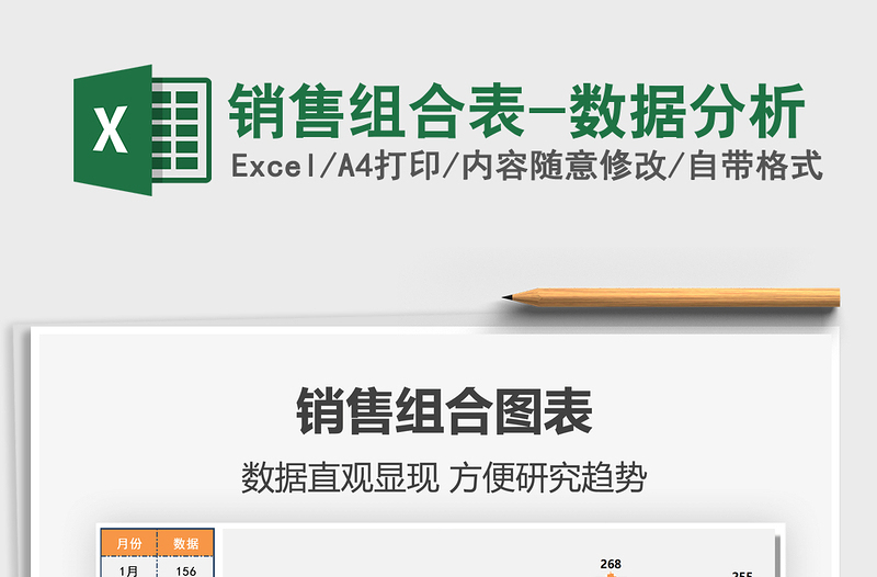 2025年销售组合表-数据分析