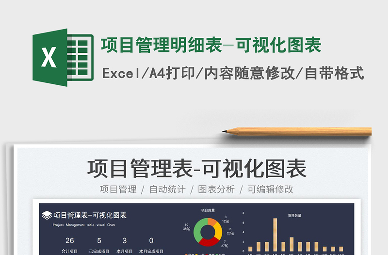 2024项目管理明细表-可视化图表exce表格